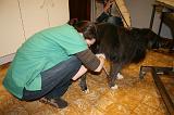 INSEMINATION ARTIFICIELLE 001